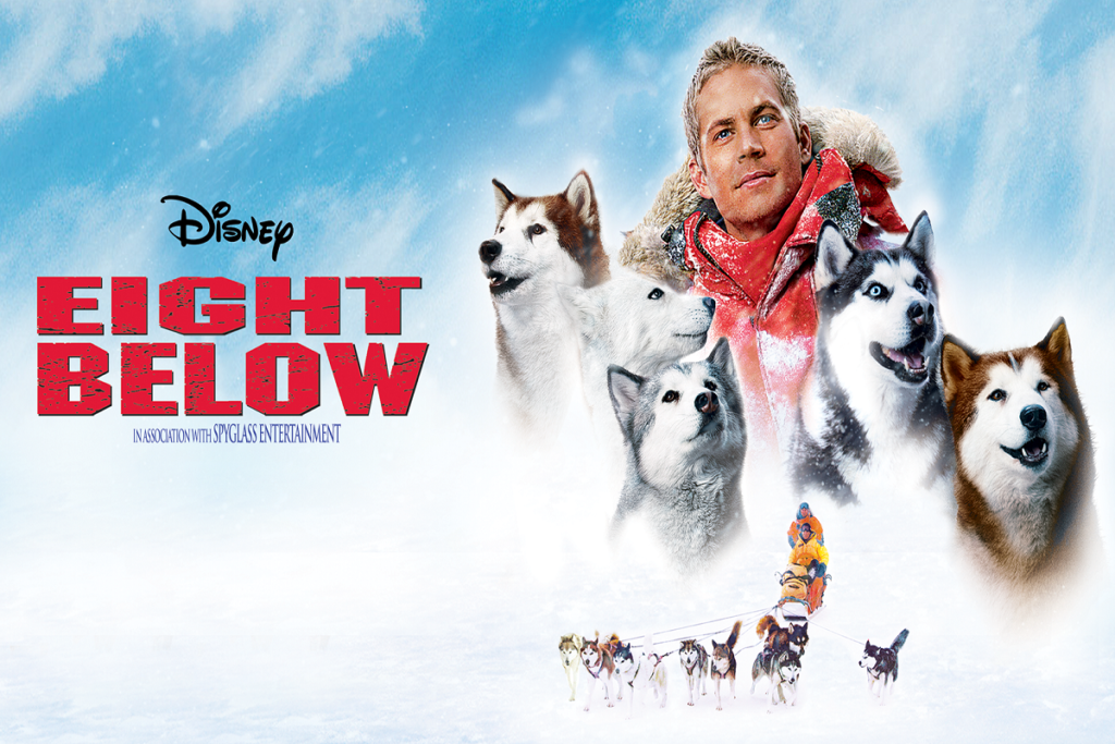 Is the Movie Eight Below Based on a True Story? Find Out Here!