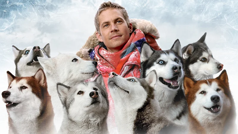 From Hollywood to Reality: Is Movie Eight Below a True Story?